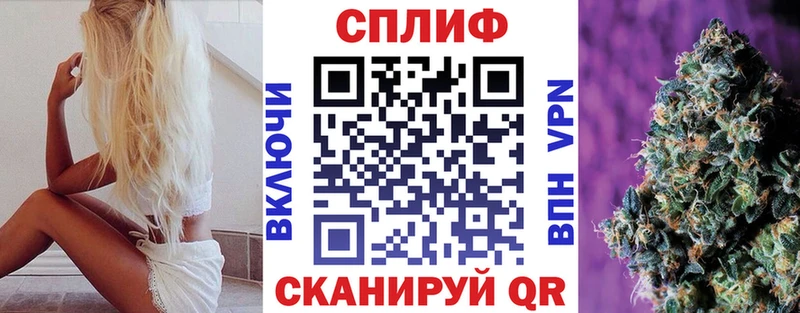 Каннабис конопля  Бологое 